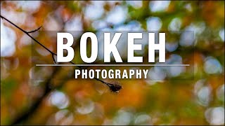 Bokeh Effect [upl. by Anahsat]