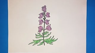 HOW TO DRAW ACONITUM FLOWER  FLOWER DRAWING  STEP BY STEP TUTORIAL [upl. by Lizzy]