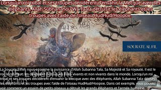 Un roi tribal et ses troupes décidèrent d’envahir la Mecque avec des éléphants ALLAH les détruisit [upl. by Asilak83]