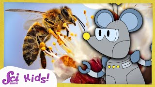 How Do Bees Make Honey  The Science of Food  SciShow Kids [upl. by Mattie]