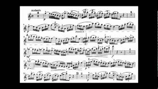 Bach JS violin concerto in A minor BWV 1041 [upl. by Craw]