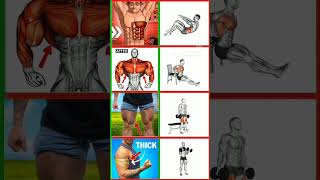 full body trends for men and women ♥️👍trending motivation ashokafitness chest weightshortvideo [upl. by Seeto]