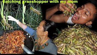 Mom n son catching grasshopper ll catch n cook deep fry grasshopper eating so crispy [upl. by Nataline837]