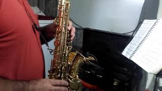 Hino 51 CCB SAX alto no contralto [upl. by Krystal]