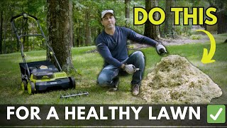 How to Dethatch Your Lawn Tips for a Thicker amp Healthier Lawn [upl. by Feodor]