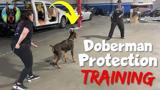 Doberman Protection Training—Pros and Cons [upl. by Ahaelam]