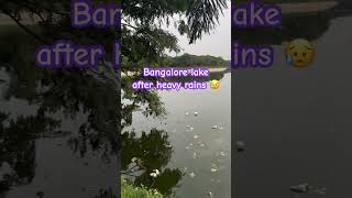 Lake filled with full of plastic waste after heavy rains shortsfeed viralvideo trending sad [upl. by Catarina]