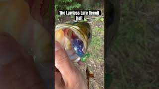 The MOST Underrated FISHING lure shorts fishing bassfishing fishingvideo fishinglife [upl. by Yzzo907]