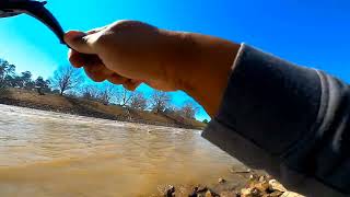 Sardis Lake Spillway quotWhite Humpbacksquot [upl. by Asirap]