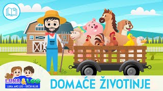 Domaće životinje  Životinje za decu  Učimo životinje 🚜🐷🐮 [upl. by Nuarb]