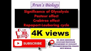 Significance of Glycolysis Pasteur effect Crabtree effect and RapaportLeubering cycle [upl. by Joell]