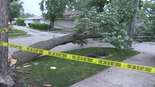 Storm damage after Tuesday weather in Skokie IL [upl. by Alcus152]