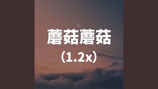 蘑菇蘑菇 12x [upl. by Svetlana]