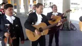 Mariachis a la plaça Garibaldi  Mexic DF  Juliol 2008 [upl. by Ellehcim]