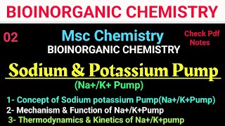 Sodium amp Potassium PumpNaKATPase bioinorganic mscchemistry bscchemistry itschemistrytime [upl. by Milda335]