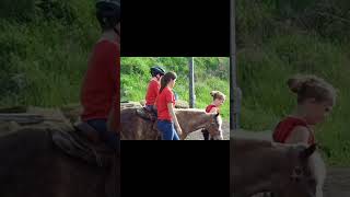 Hippotherapy autism autismacceptance autismfamily horse therapy shorts shortsviral short [upl. by Payton]