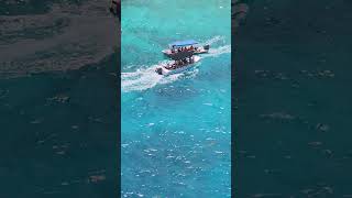 Glass Bottom Boat in Cozumel 3 [upl. by Furmark]