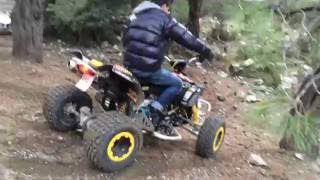 Can Am ds 450 Kills The Hill [upl. by Nonrev]