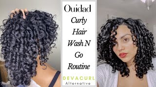 Alternative To DEVACURL  Updated Curly Hair Routine Using Ouidad  Wash And Go [upl. by Conway699]