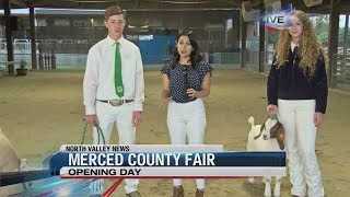 Merced County Fair  FFA amp 4H [upl. by Wally]