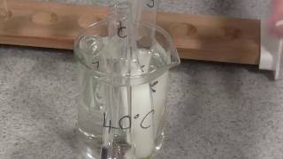 Enzyme Rate of Reaction Trypsin [upl. by Ihel410]