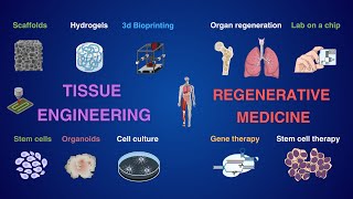 Tissue Engineering and Regenerative Medicine [upl. by Cherice94]