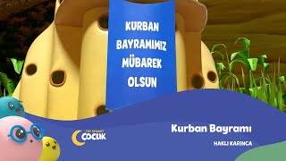 Kurban Bayramımız mübarek olsun  Haklı Karınca KurbanBayramı [upl. by Reham863]