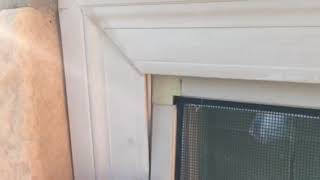 How to put a window screen back in place [upl. by Sylas]