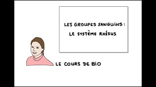 Les groupes sanguins  le système Rhésus [upl. by Crystal]