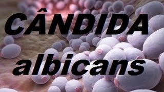 CANDIDA ALBICANS A CURA DEFINITIVA [upl. by Stevy]