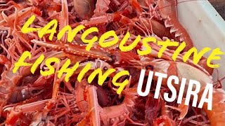 Langoustine Fishing Utsira [upl. by Thilde282]