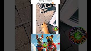 STARDOG superdog sigma dog hero animal marvel dc comic viral trend starman meme short [upl. by Grounds]