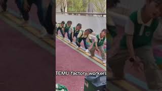 TEMU and SHEIN factory Workers [upl. by Askari]