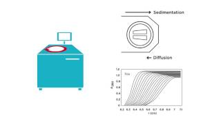 Introduction to Analytical Ultracentrifugation AUC 101 [upl. by Attenauqa]