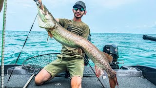 Musky Fishing Lake St Clair with Todd and Joey Leopardi and Chris Schrecengost [upl. by Areid]