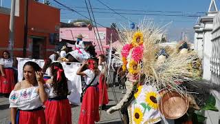 Carnaval huejotzingo puebla 2020Banda Reyna de México [upl. by Rhynd]