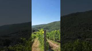 Chianti wine tour [upl. by Opportuna]