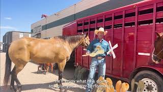 Colorado Saddlery Since 1945 [upl. by Dekeles637]