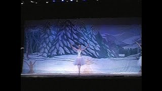 Waltz of the Snowflakes  The Nutcracker 2009  Pyotr Ilyich Tchaikovsky [upl. by Alurta]