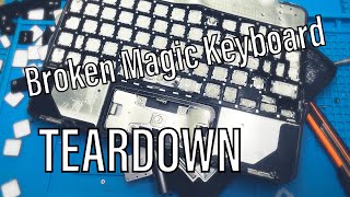 Apple iPad Magic Keyboard Teardown [upl. by Tomlinson493]