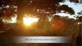 How To Make Macadamia Butter [upl. by Spada]