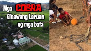 MGA COBRA GINAWANG LARUAN NG MGA BATA [upl. by Nayek]