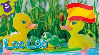 Cinco patitos  Rimas y canciones infantiles  LooLoo [upl. by Adiel209]