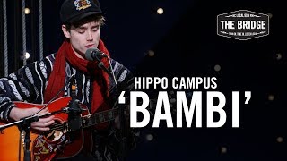 Hippo Campus  Bambi Acoustic  The Bridge 909 in Studio [upl. by Air464]