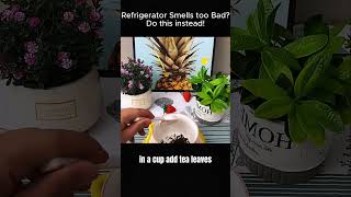 Refrigerator Smells BAD Fix it with This ONE Trick [upl. by Hgielrahc390]