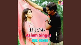 Aslam Singer SR 6060 DJ Mix [upl. by Ateiram]