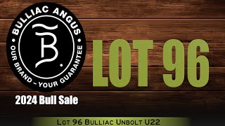 Lot 96 Bulliac Unbolt U22 [upl. by Hite674]