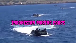 indonesian marine corps profile [upl. by Macmillan]