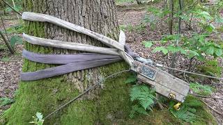 Removing a Fallen Oak Branch Using a Winch [upl. by Eadnus]