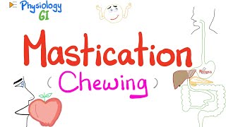 Mastication chewing   Mastication Reflex  Gastrointestinal Physiology [upl. by Lemej]